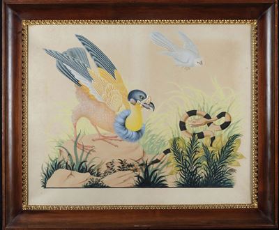 Vittorio Raineri (1797-1869)uccello con Serpente, 1837