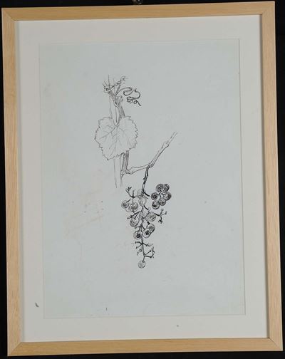 Oscar Saccorotti (1898-1986)vite con Grappolo D'uva