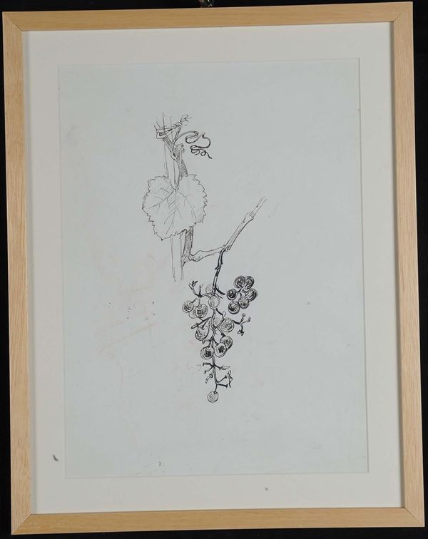 Oscar Saccorotti  (1898-1986) Vite con grappolo d'uva