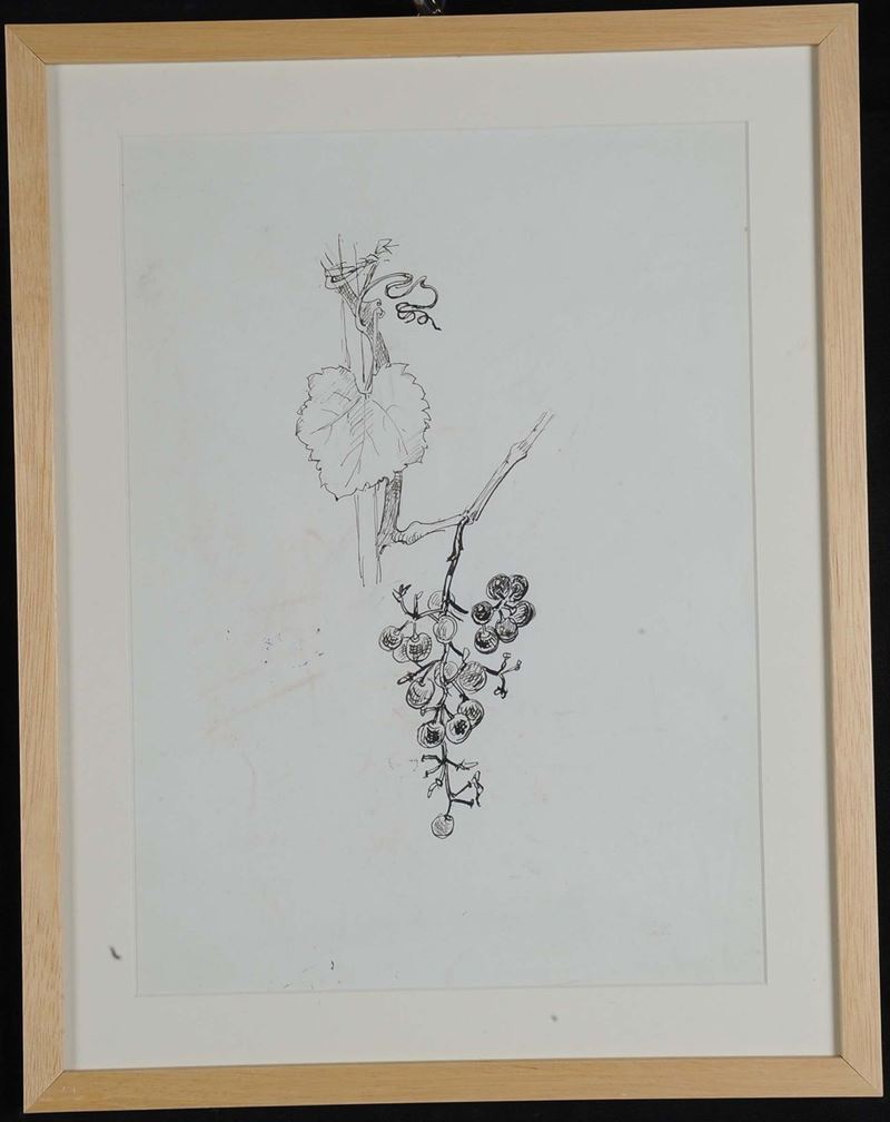 Oscar Saccorotti  (1898-1986) Vite con grappolo d'uva  - Asta Antiquariato e Dipinti Antichi - II - Cambi Casa d'Aste