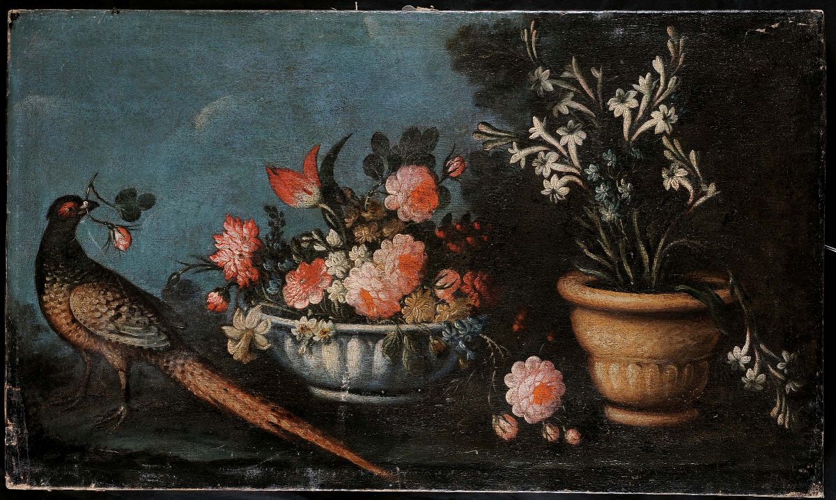Scuola Emiliana del XVII Secolonatura Morta Natura Morta