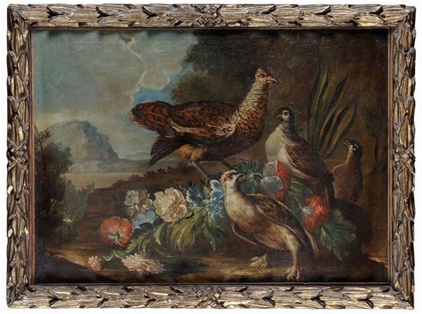 Scuola del XVIII secolo Natura viva con volatili e fiori