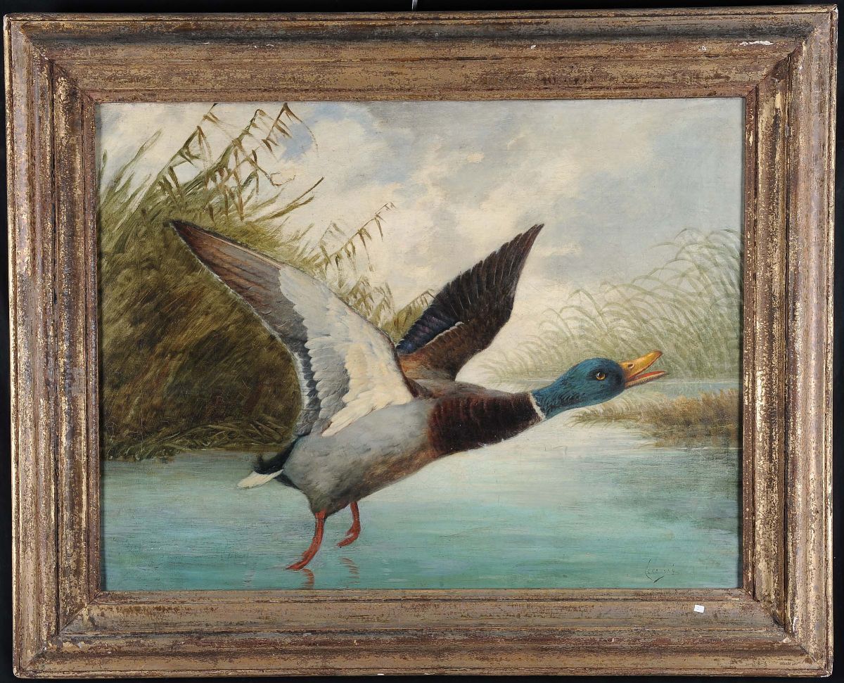 Anonimo del XIX Secologermano in Volo