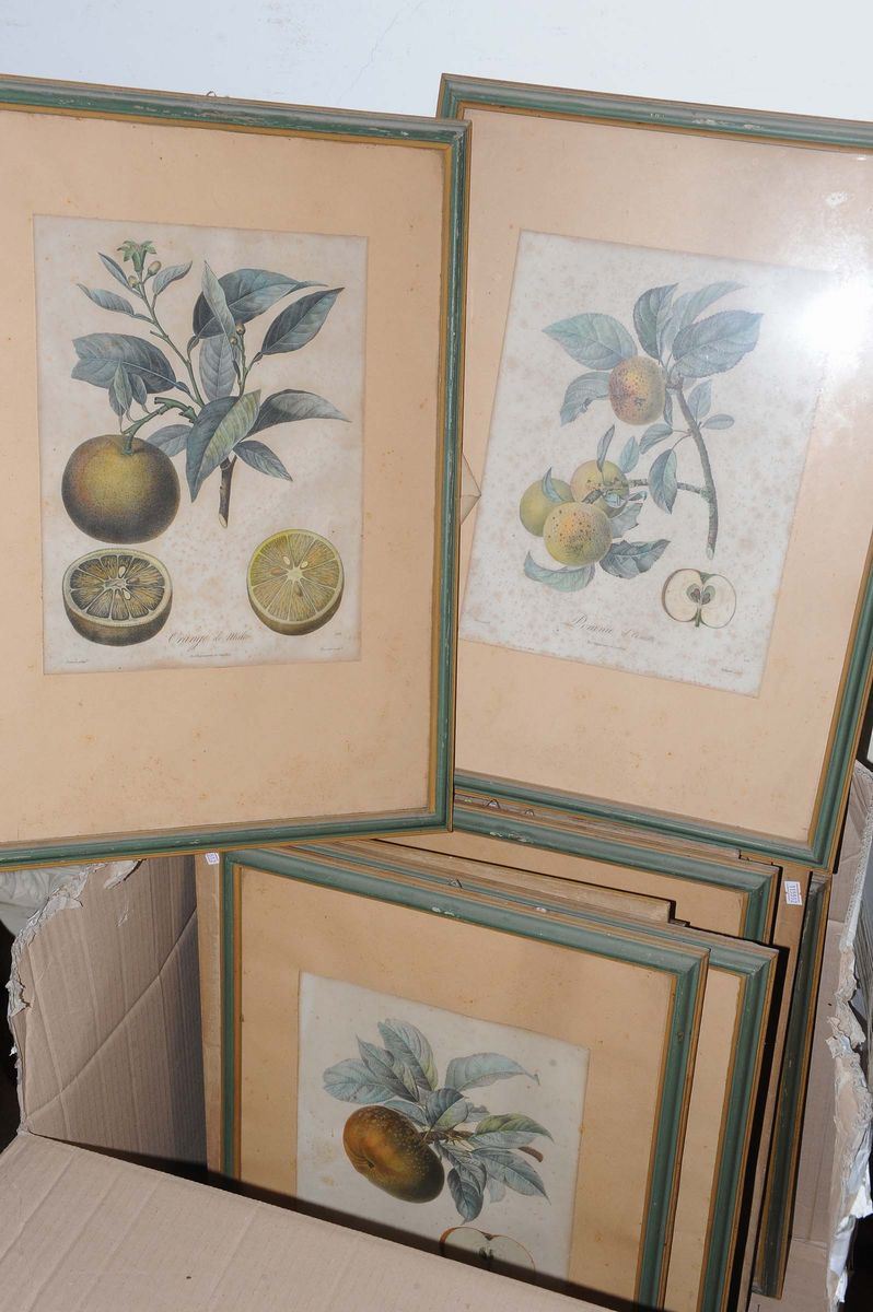 Quattordici stampe acquerellate con fiori e frutta  - Auction An important Genoese Heritage - I - Cambi Casa d'Aste