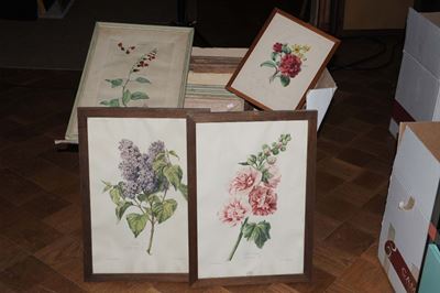 Diciotto Stampe con Fiori di Diversi Formati
