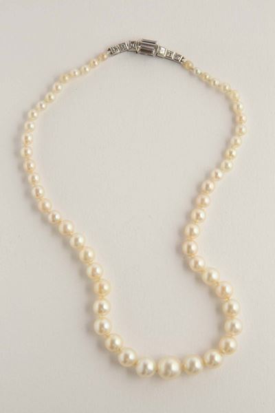 Collana di Perle Scalari, Coltivate