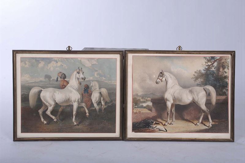 Coppia di stampe a colori raffiguranti cavalli  - Auction Antique and Old Masters - II - Cambi Casa d'Aste