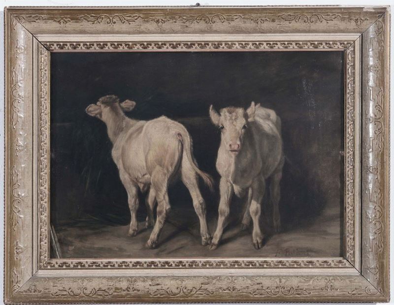 Pittore del XIX secolo Vitelli  - Auction Time Auction 1-2014 - Cambi Casa d'Aste