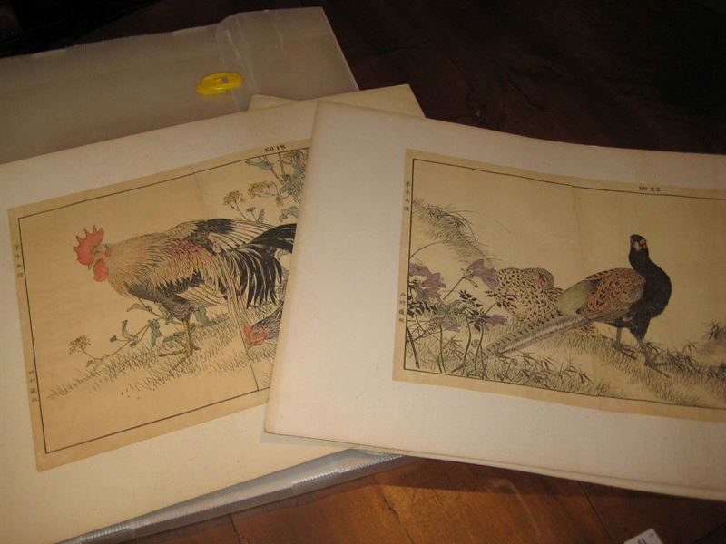 Lotto di 13 stampe giapponesi raffiguranti uccelli  - Asta Antiquariato e Dipinti Antichi - Cambi Casa d'Aste