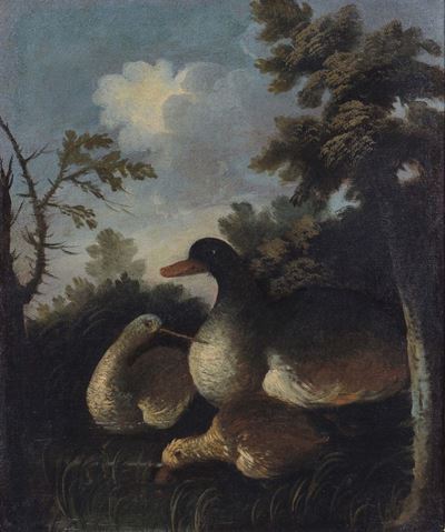 Giorgio Duranti (1687-1753), Cerchia Dipaesaggio con Volatili