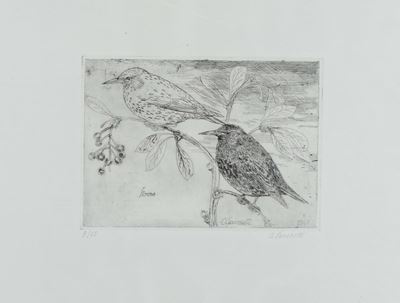 Oscar Saccorotti (1898-1986)uccellini sul Ramo