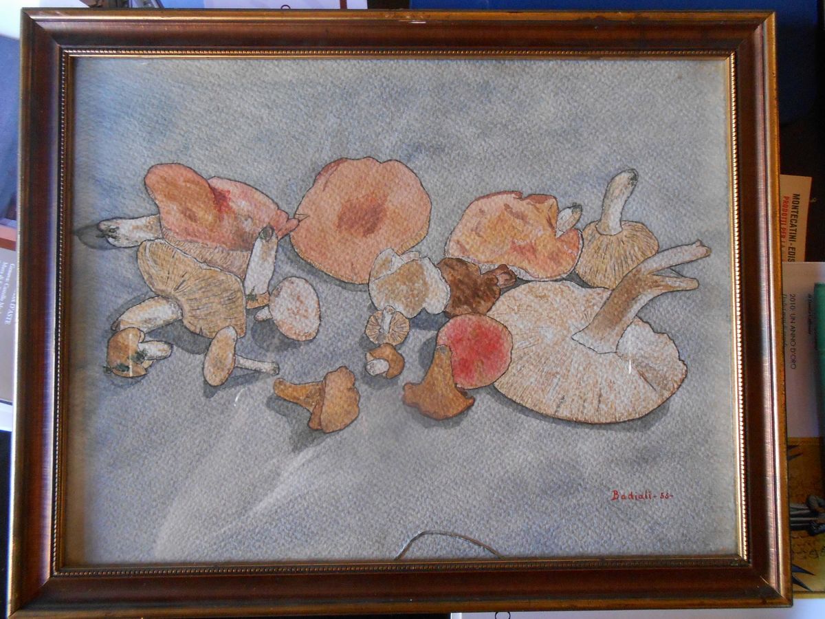 Tre Dipinti con Vedute Montane e uno con Funghi Firmato Badiati 1956