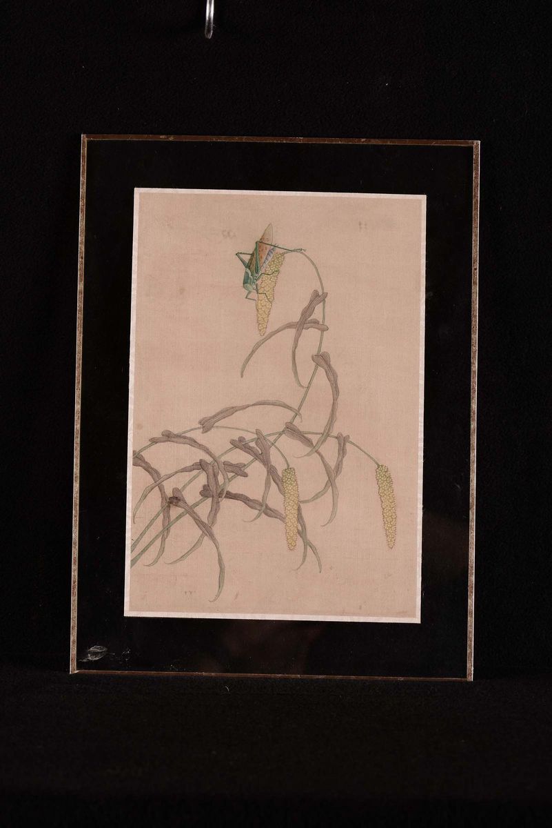 Dieci Stampe Orientali su Seta con Fiori ed Insetti