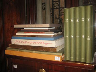Lotto di Libri Figurati di Arte, Letteratura ed Altro