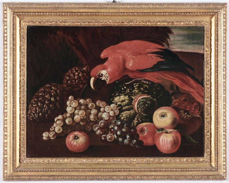 Scuola Romana del XVIII secolo Natura morta con pappagallo  - Asta Dipinti Antichi - II - Cambi Casa d'Aste