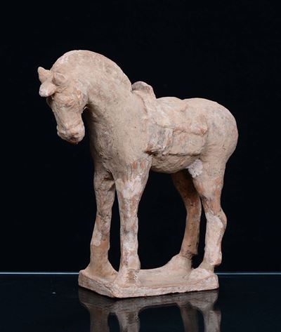 Cavallo in Terracotta Tang, Cina