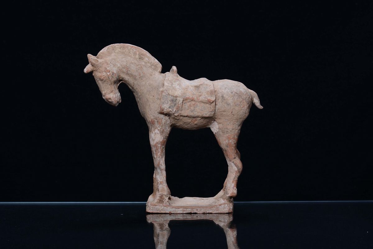 Cavallo in Terracotta Tang, Cina