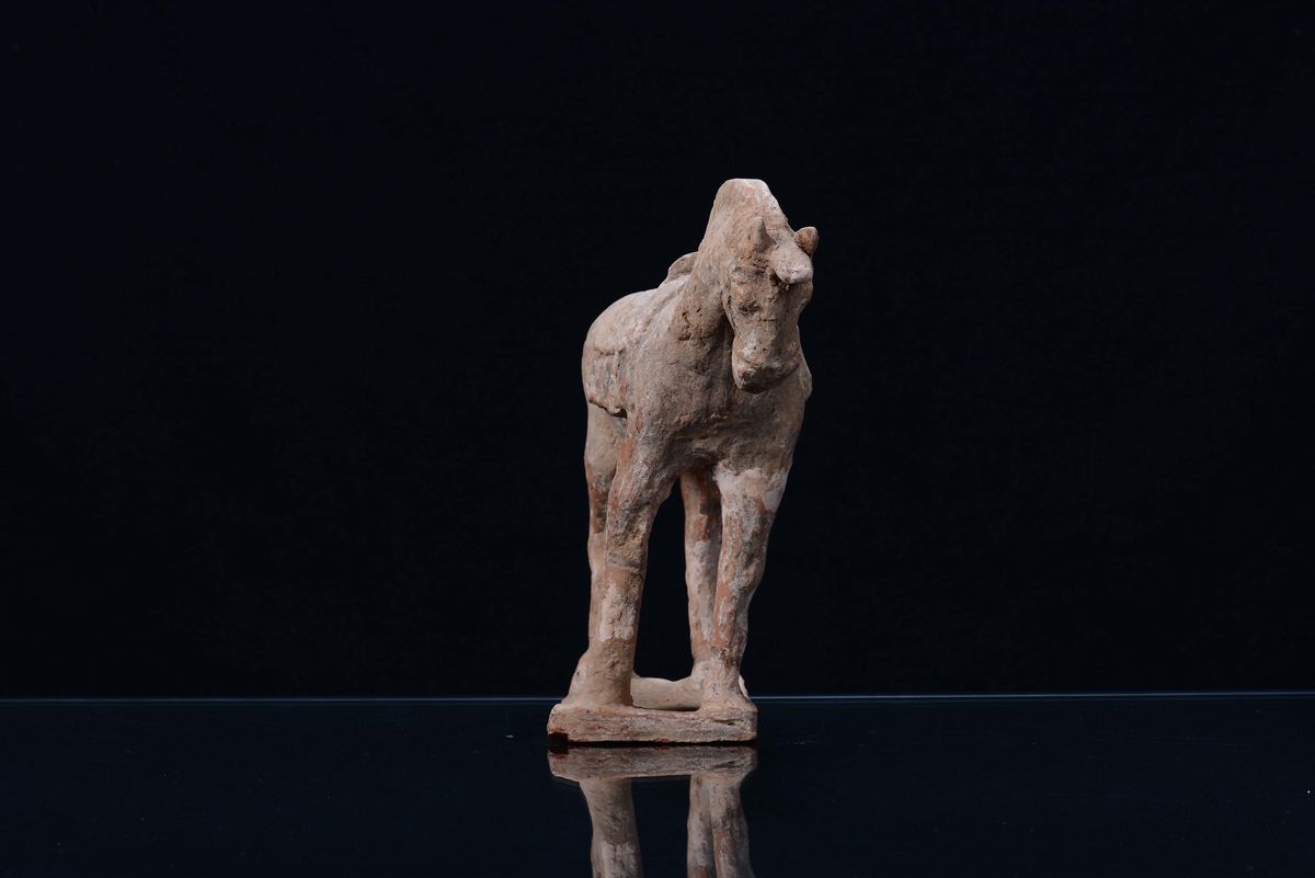 Cavallo in Terracotta Tang, Cina