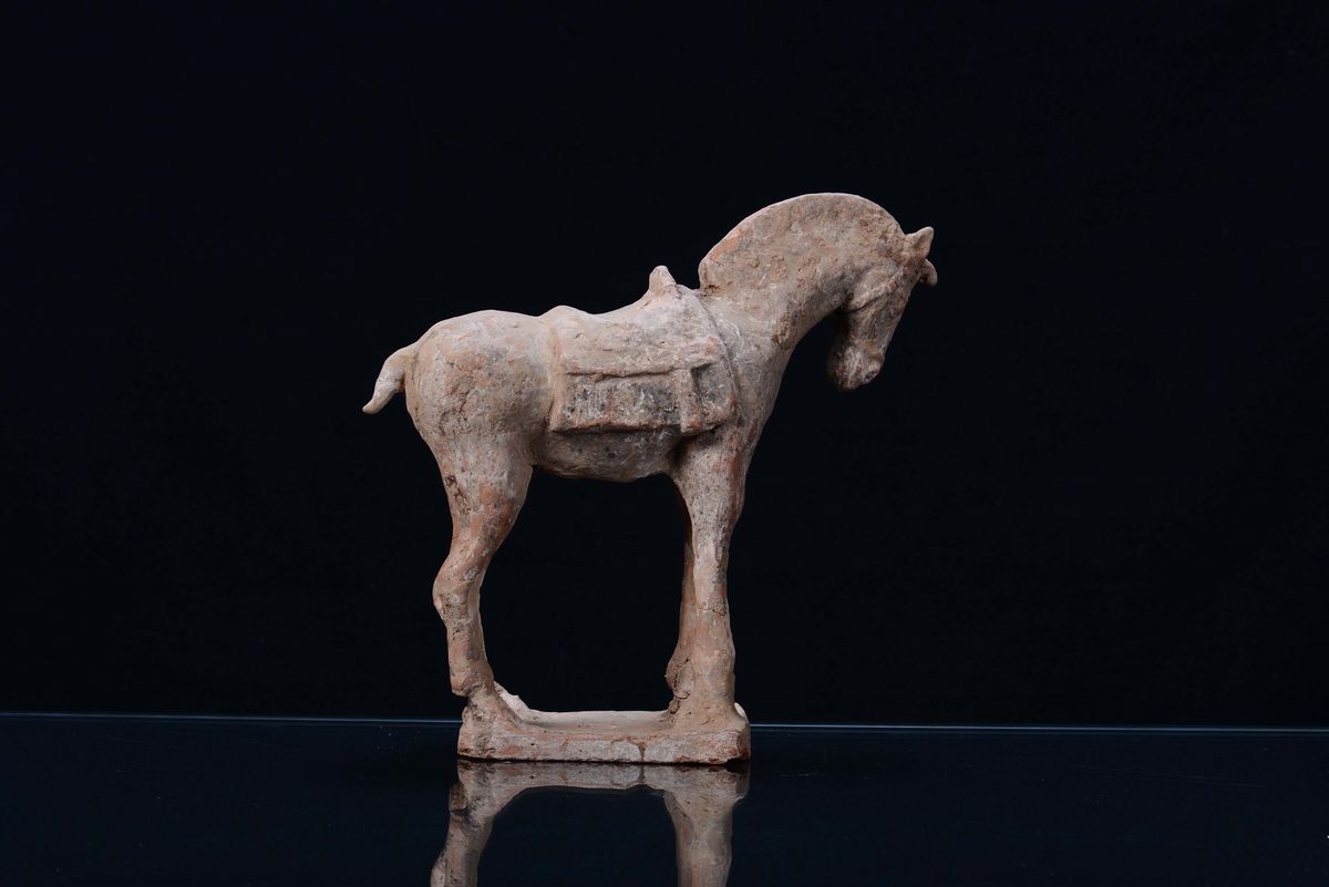 Cavallo in Terracotta Tang, Cina