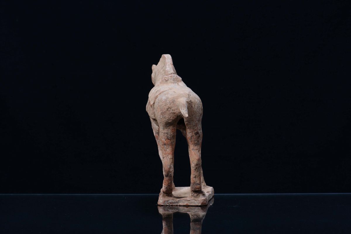 Cavallo in Terracotta Tang, Cina