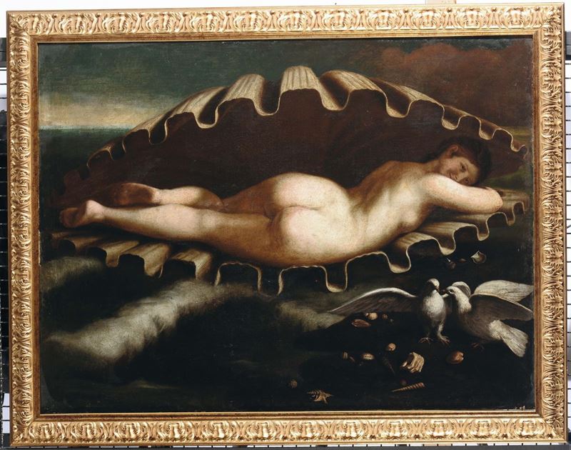 Scuola Emiliana del XVII secolo Venere  - Auction Old Masters Paintings - II - Cambi Casa d'Aste