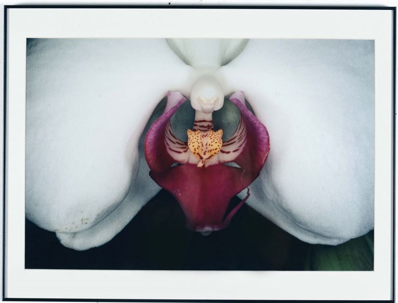 Araki Nobuyoshi  (1949) “Flower Rondeau”, 1997/2006  - Asta Fine Selection - II - III - Cambi Casa d'Aste