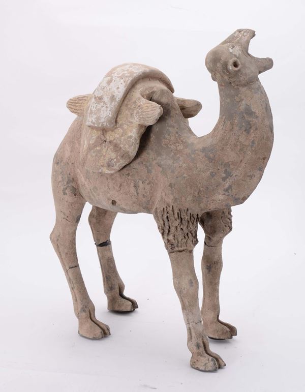 Scultura in terracotta raffigurante cammello, arte cinese