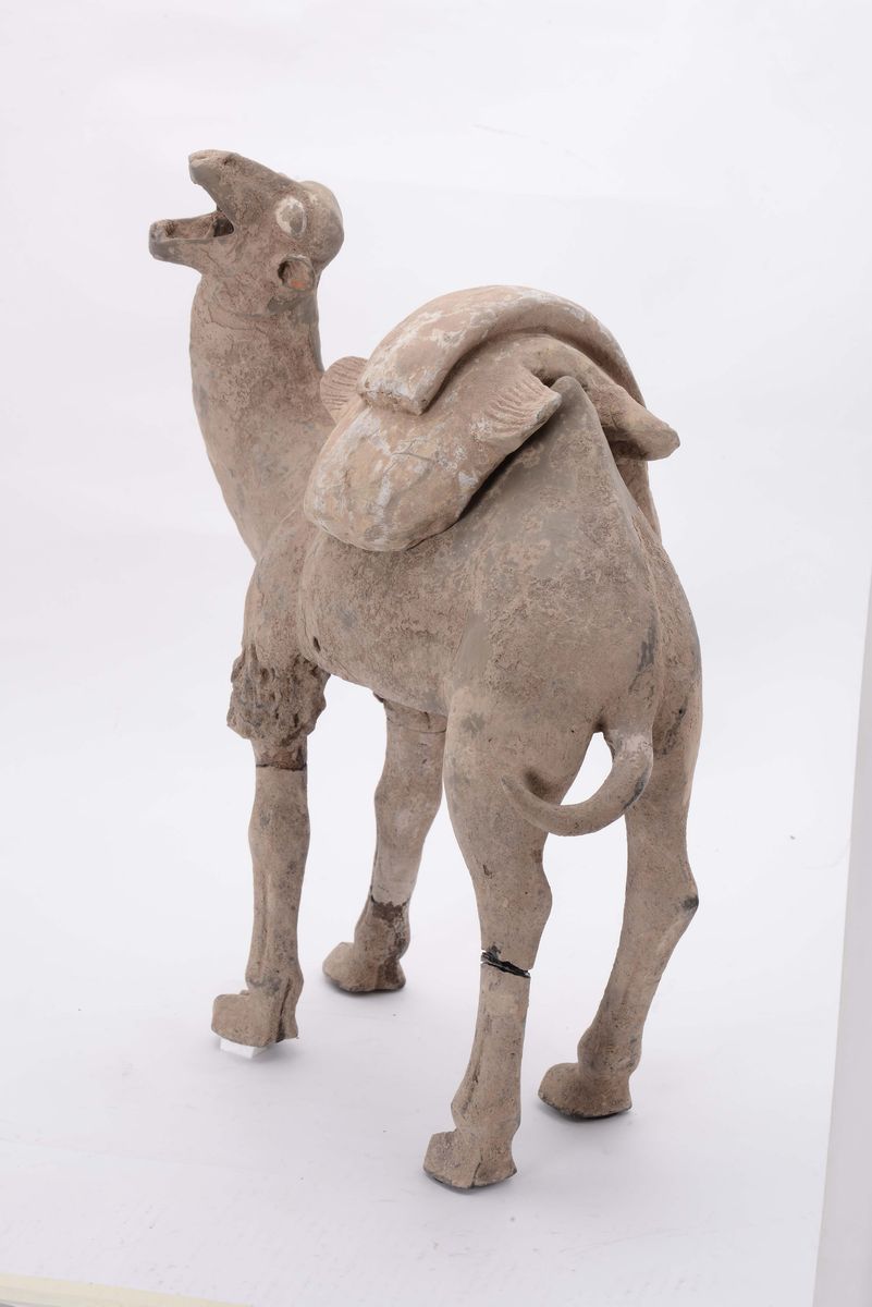 Scultura in Terracotta Raffigurante Cammello, Arte Cinese