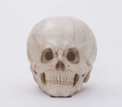 “memento Mori” a Foggia di Teschio in Marmo Palombino, Lapicida del XIX-XX Secolo