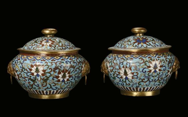 A pair of potiches and cloisonné cover, China, Qing Dynasty, 19th century