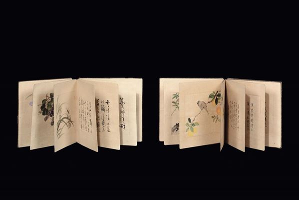 Two albums with naturalistic subject and descriptions, China, Qing Dynasty, 19th century