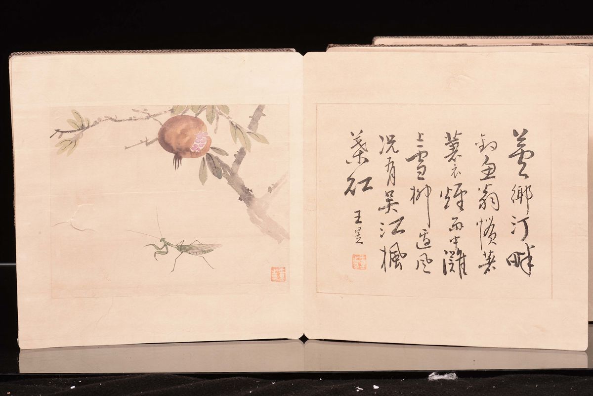 Due Album a Soggetto Naturalistico e Descrizioni, Cina, Dinastia Qing, XIX Secolo