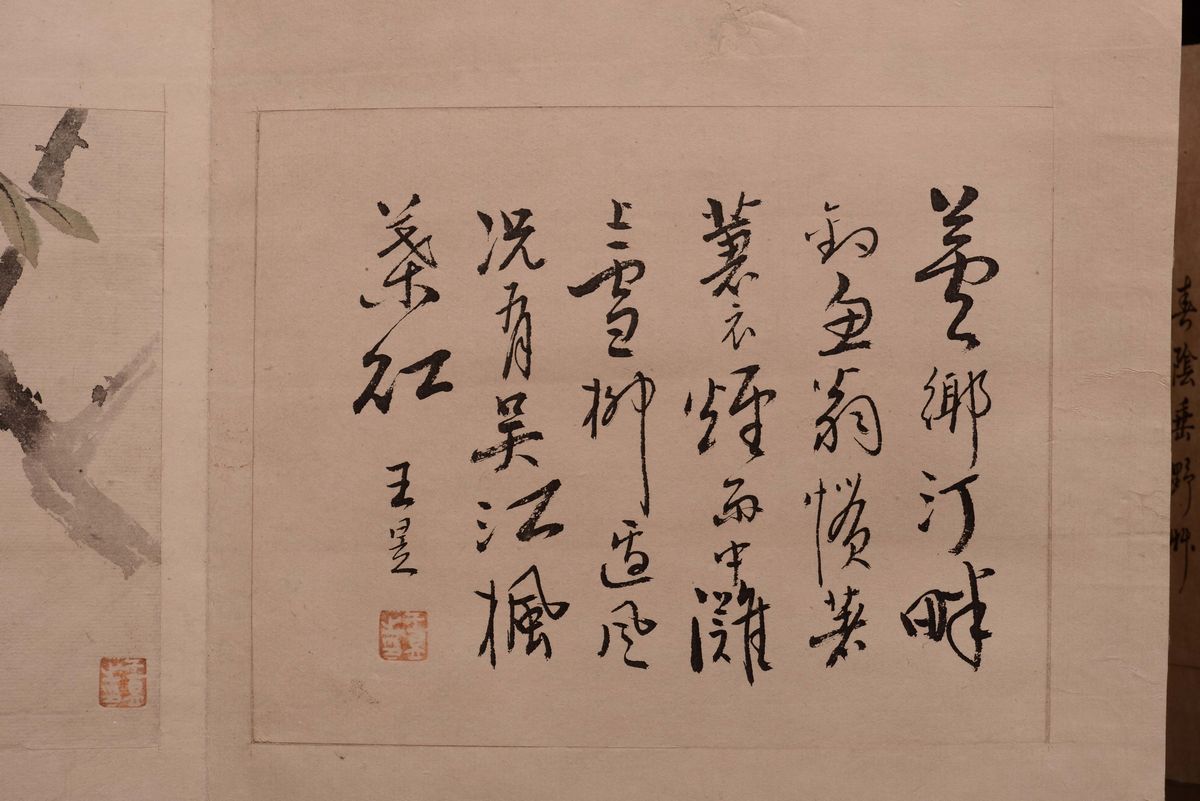 Due Album a Soggetto Naturalistico e Descrizioni, Cina, Dinastia Qing, XIX Secolo