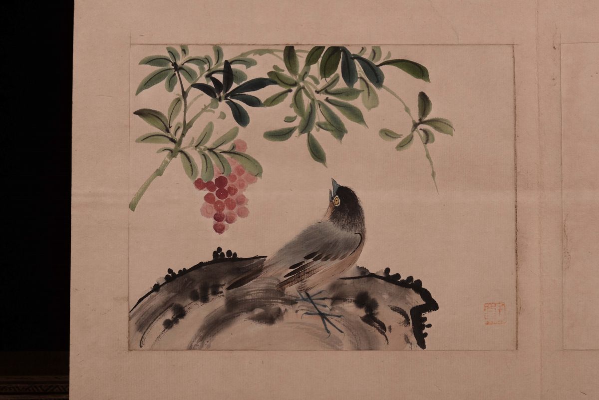 Due Album a Soggetto Naturalistico e Descrizioni, Cina, Dinastia Qing, XIX Secolo