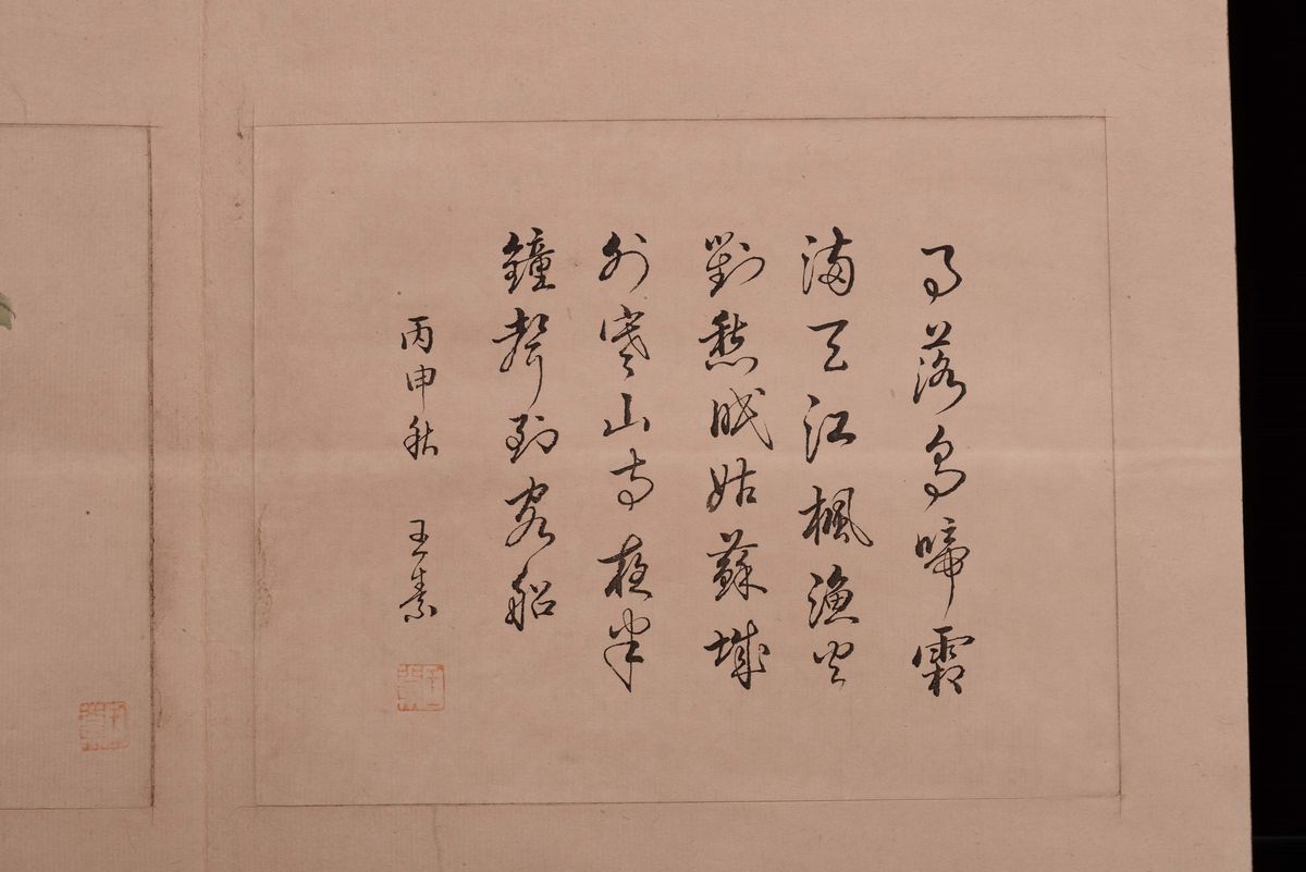 Due Album a Soggetto Naturalistico e Descrizioni, Cina, Dinastia Qing, XIX Secolo