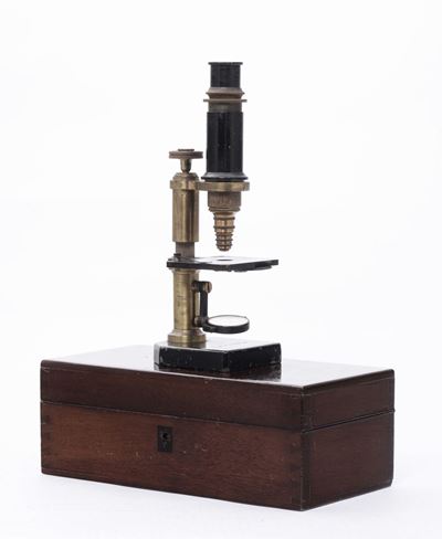 Microscopio