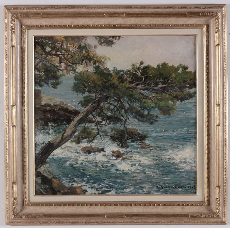 Cipriano Mannucci (Nizza 1882 – Firenze 1970) Vecchio pino a Bogliasco  - Auction Antique and Old Masters - Cambi Casa d'Aste