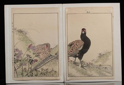 Lotto Composto da Quattro Dipinti su Carta Raffiguranti Pavoni, Cina, Inizio XX Secolo