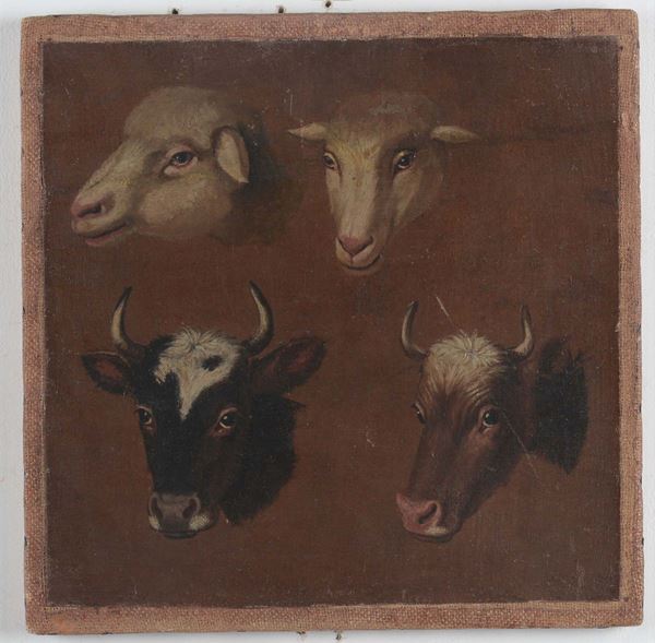 Francesco Londonio (Milano 1723-1783), cerchia di Teste di animali