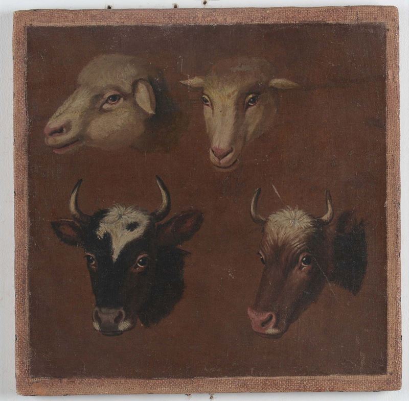 Francesco Londonio (Milano 1723-1783), cerchia di Teste di animali  - Asta Dipinti Antichi - Cambi Casa d'Aste