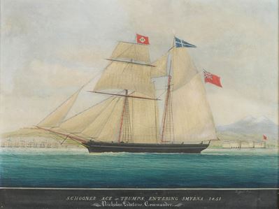 Ritratto dello Schooner Ace of Trumps, gouache su carta