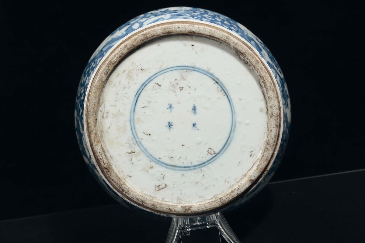 Vaso in Porcellana Bianca e Blu con Decoro Naturalistico, Cina, Dinastia Qing, XIX Secolo