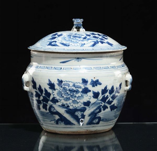 Potiche in porcellana bianca e blu a decoro naturalistico, Cina, inizio XX secolo