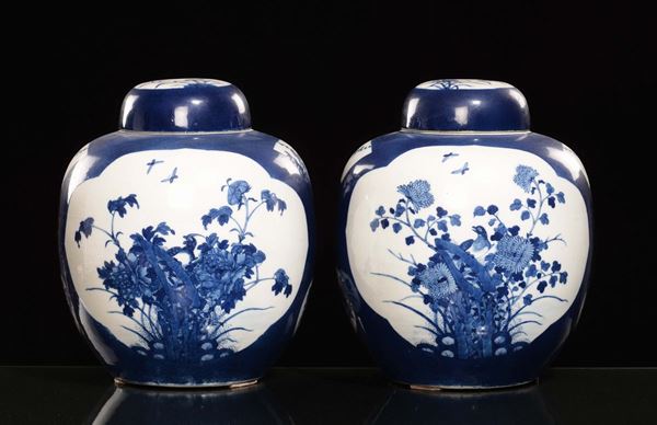 Coppia di potiches in porcellana bianca e blu a decoro naturalistico, Cina, Dinastia Qing, XIX secolo