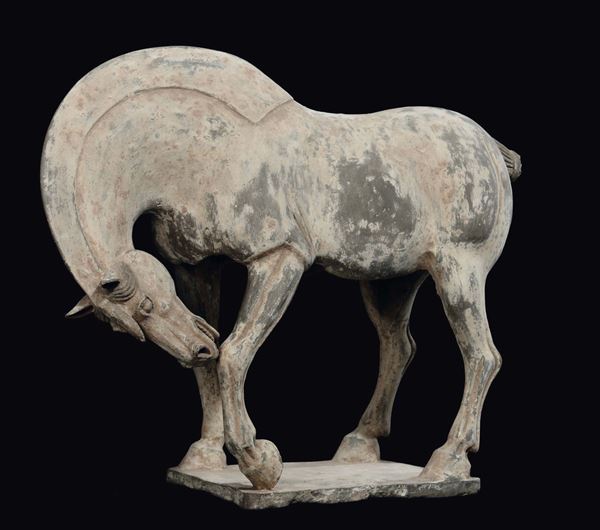 A painted pottery horse, China, Tang Dynasty (618-906)