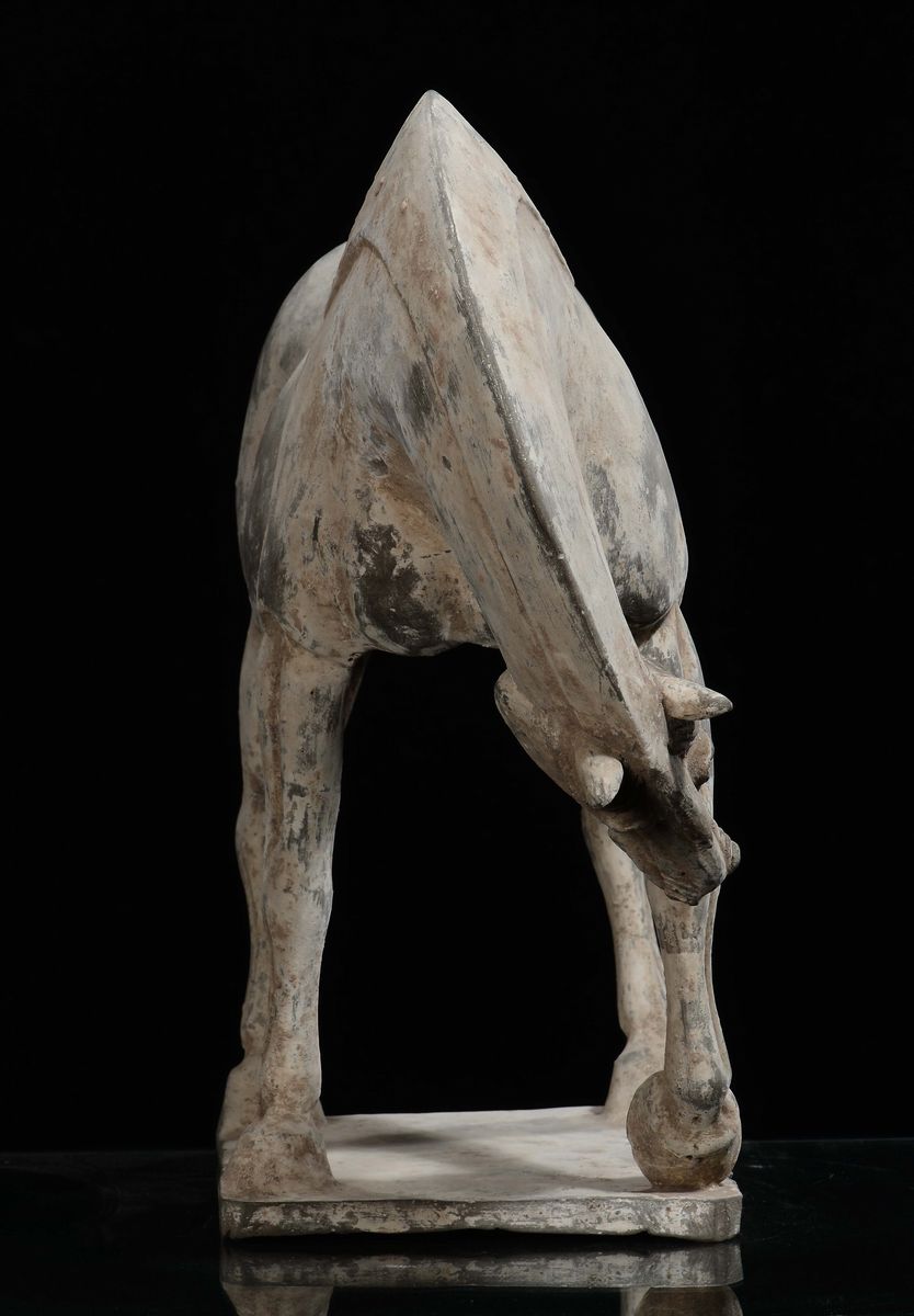 Cavallo in Terracotta Dipinta, Cina, Dinastia Tang (618-906)