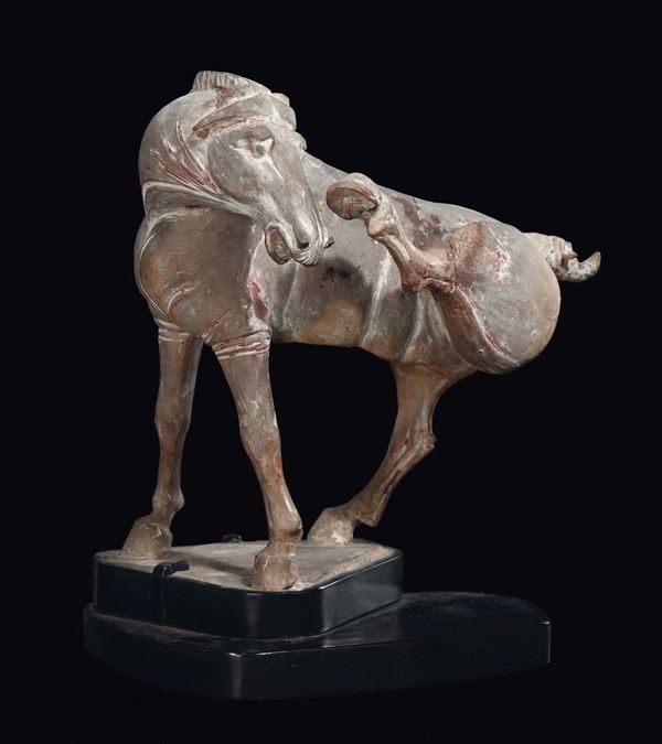 A painted pottery horse with one paw raised, China, Tang Dynasty (619-906)