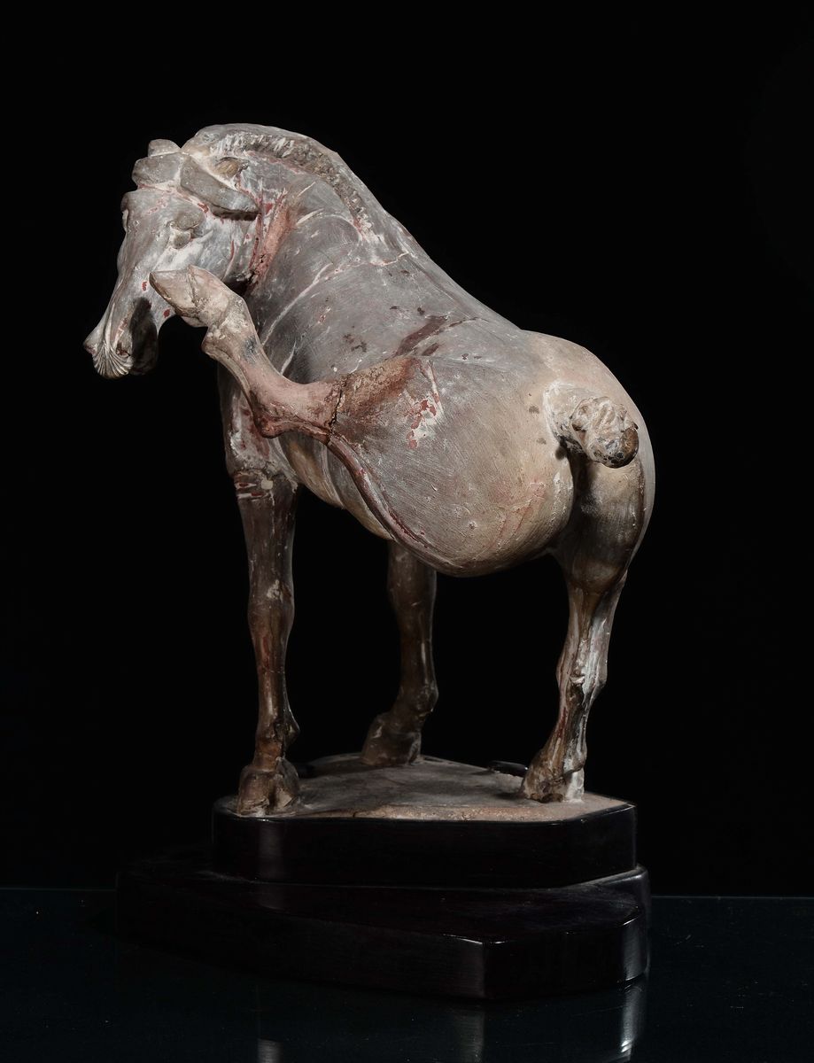 Cavallo in Terracotta Dipinta con una Zampa Sollevata, Cina, Dinastia Tang (618-906)