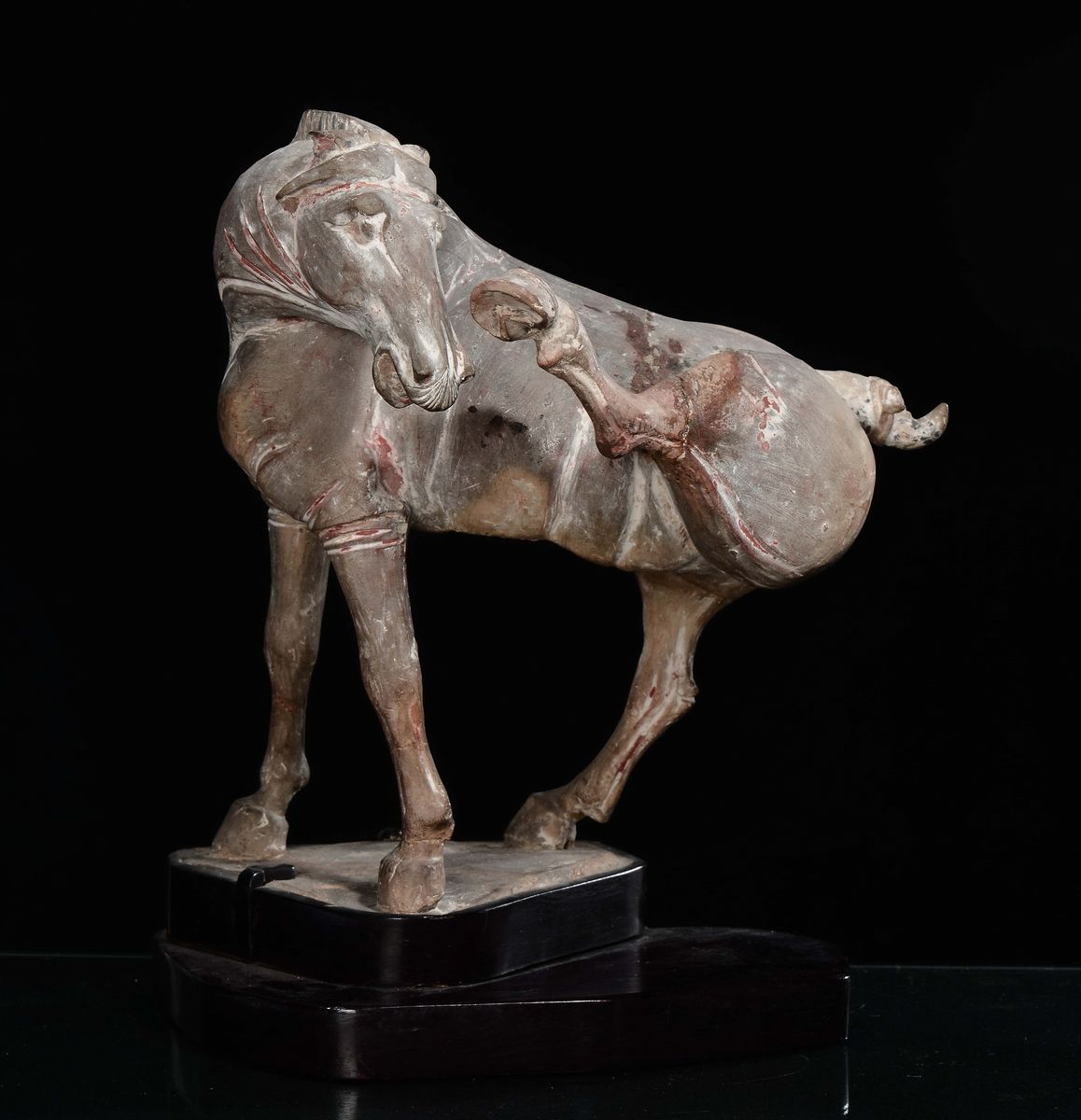Cavallo in Terracotta Dipinta con una Zampa Sollevata, Cina, Dinastia Tang (618-906)