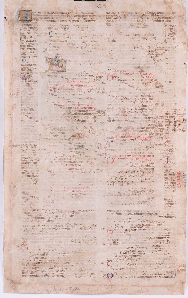 Anonimo del XV Secolodiritto Canonico